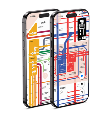 Body Map: Anatomy Simplified - Explore your inner world