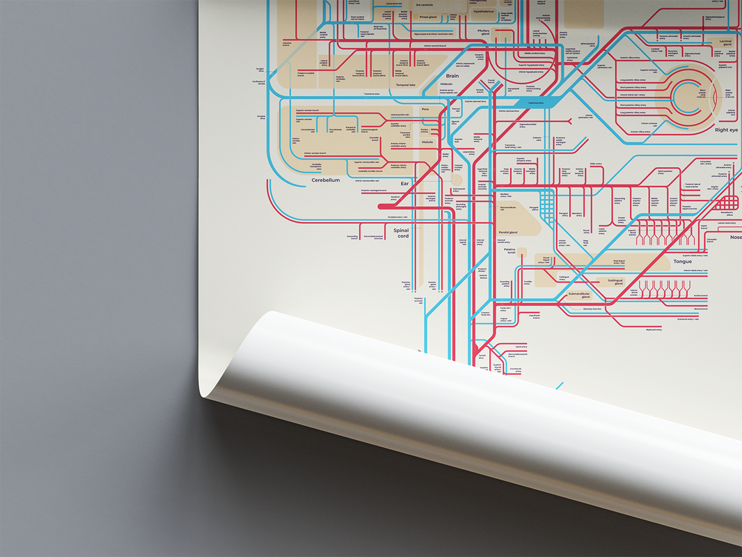 Body Map: Anatomy Simplified - Explore your inner world